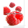 Raspberry Ketone for sale